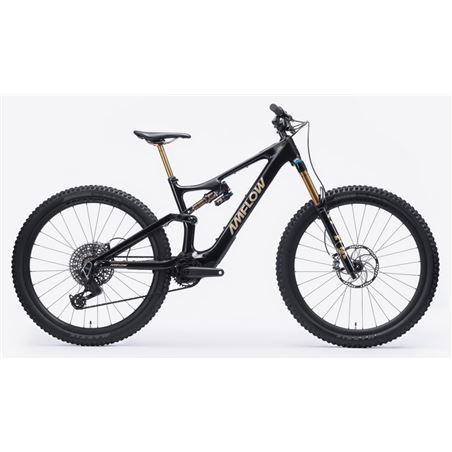 BICICLETA AMFLOW PL CARBON PRO