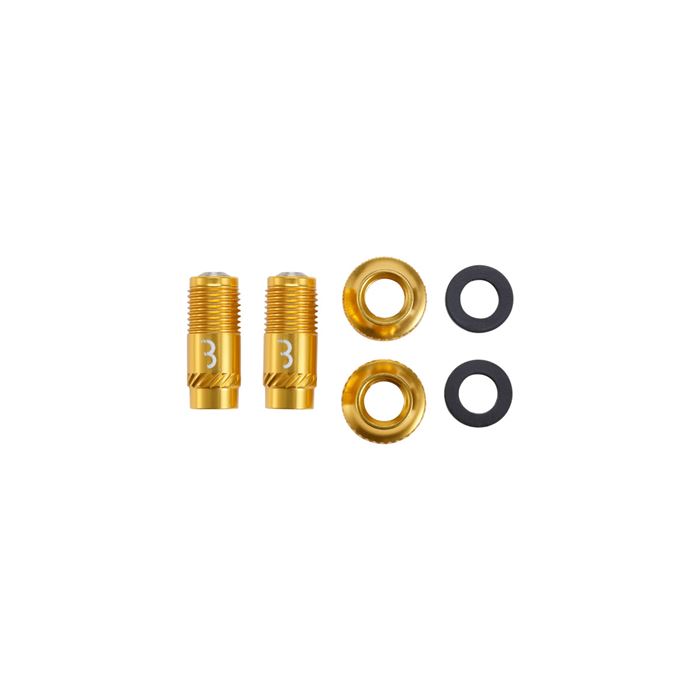 TAPONES DE VALVULA BBB "CORECAP" CON TUERCAS 2UDS. ORO