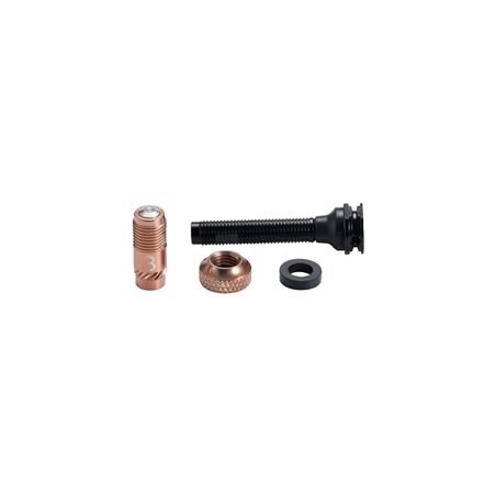 VALVULAS TUBELESS TAPONES BBB "AL CORECAP" 2UDS. 40MM BRONZE